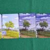Esempio di posa delle carte