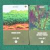 Carte Terreno 1